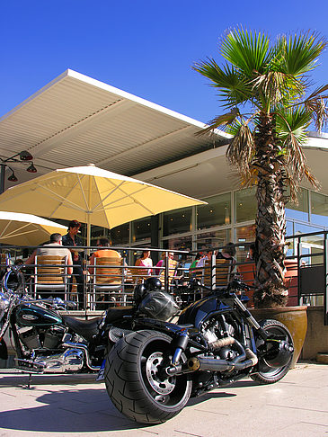 Harley Davidson am Alster Pavillion Foto 