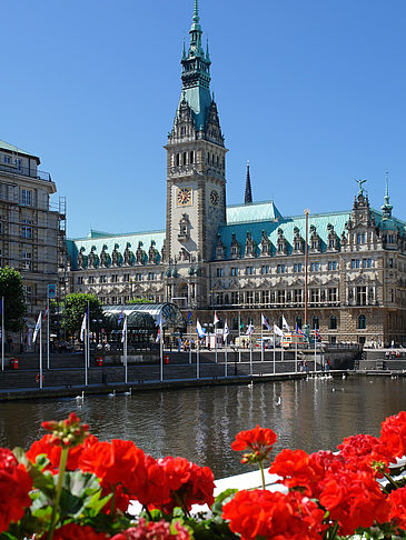 Rathaus mit Alsterfleet Foto 