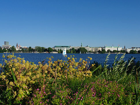 Fotos Blick nach Osten von der Außenalster | Hamburg