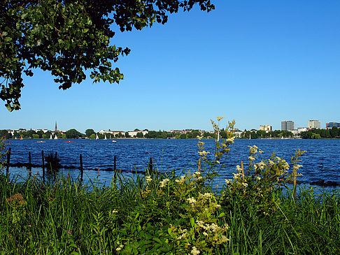 Foto Blick nach Osten von der Außenalster - Hamburg