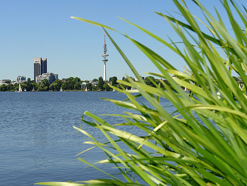 Foto Schöne Aussicht - Hamburg