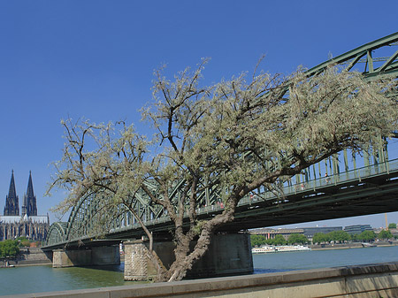 Fotos Hohenzollernbrücke am Kölner Dom | Köln