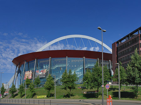 Foto Kölnarena hinter Bäumen - Köln