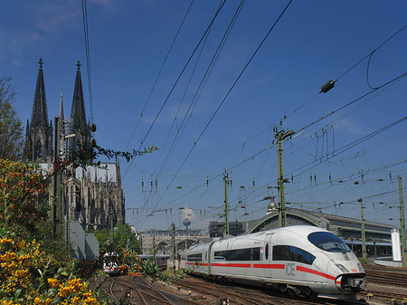 Foto Kölner Dom mit ICE - Köln