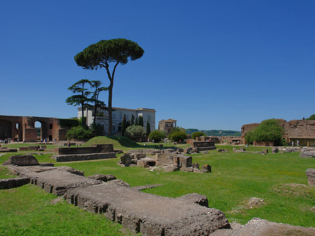 Domus Augustana und das Museo Palatino Foto 