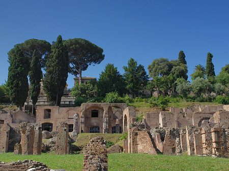 Foto Forum Romanum - Rom