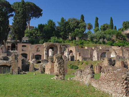 Foto Tempel der Vesta