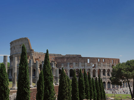 Foto Kolosseum mit dem Forum Romanum - Rom