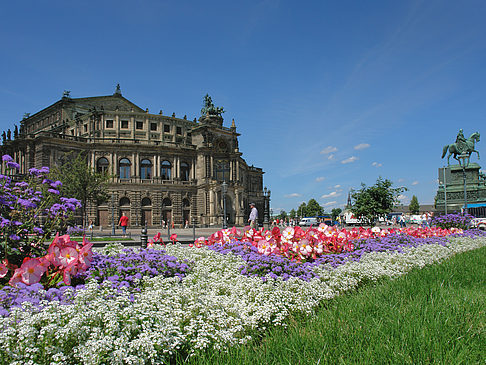 Semperoper mit Blumen Fotos