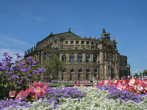 Semperoper mit Blumen Foto 