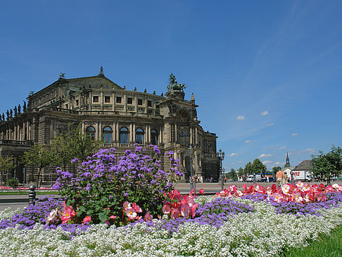 Semperoper mit Blumen Fotos