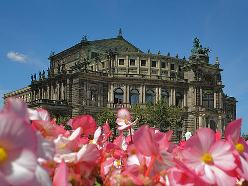 Semperoper mit Blumen Foto 