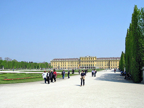 Fotos Schlossgarten des Schloss Schönbrunn